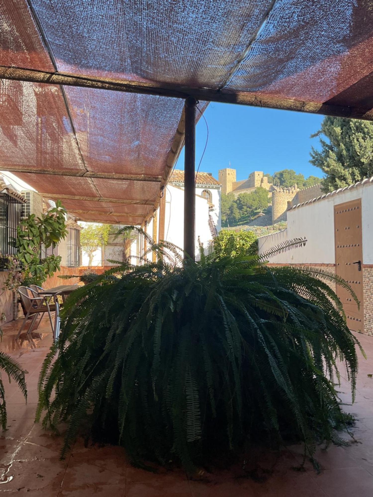 Casa Rural Antikaria Antequera Eksteriør billede